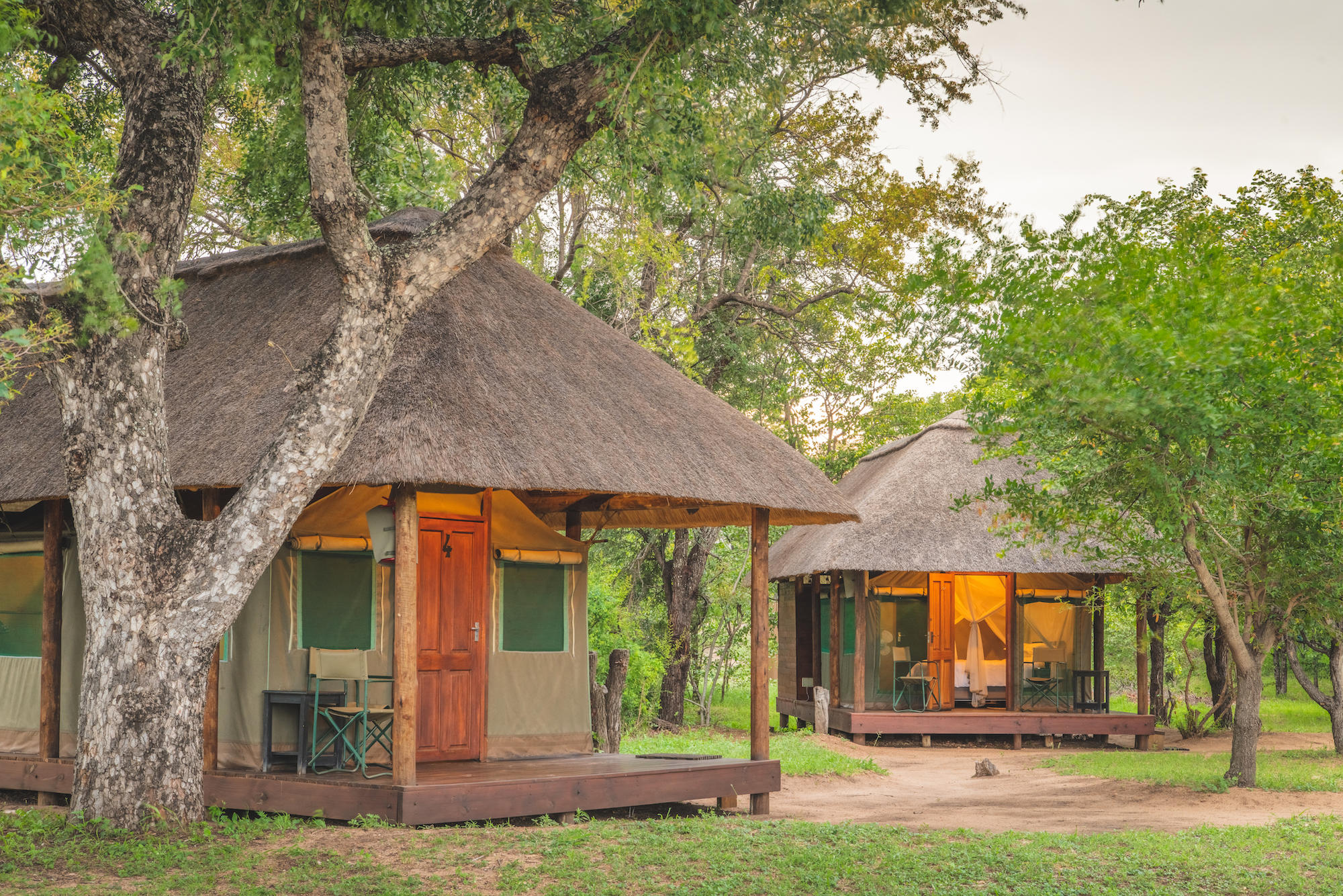 Shindzela Tented Safari Camp, Timbavati | Timbuktu Travel