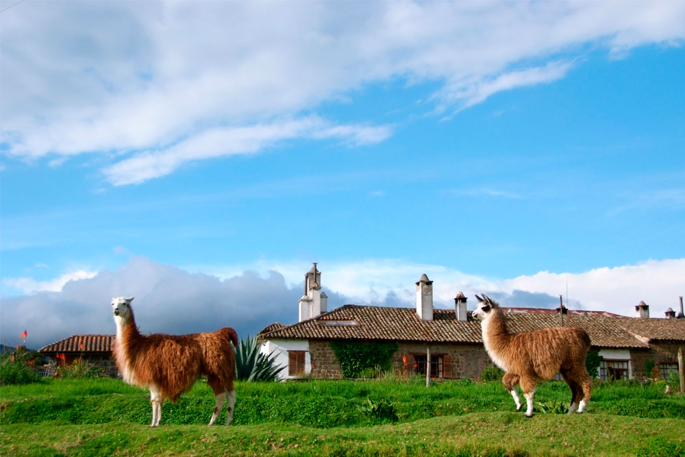 Hacienda San Agustin De Callo, Cotopaxi | Timbuktu Travel