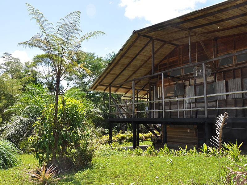 Hakuna Matata Amazon Lodge, The Ecuadorian Amazon | Timbuktu Travel