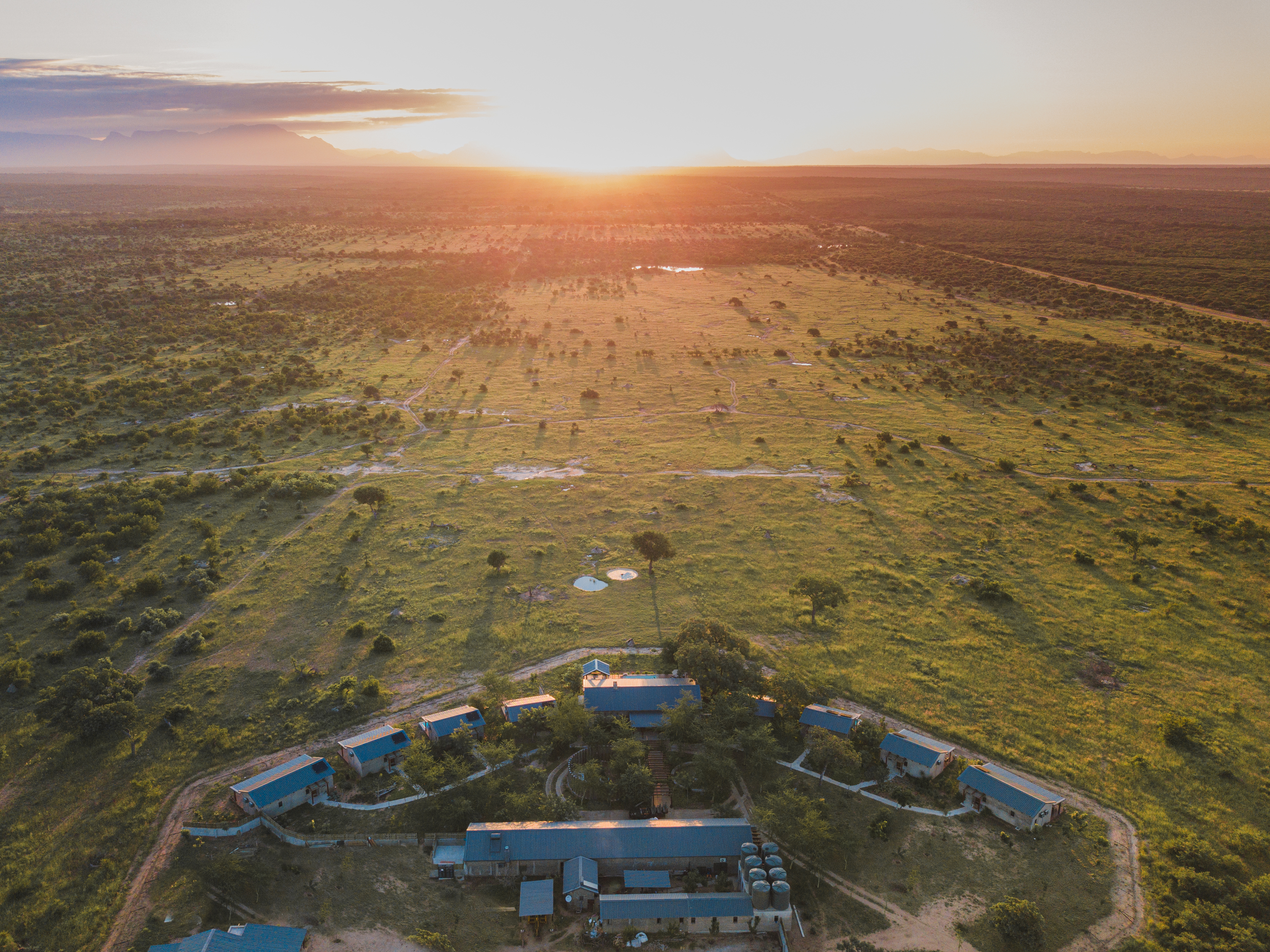 Walkers Plains Camp, Timbavati | Timbuktu Travel