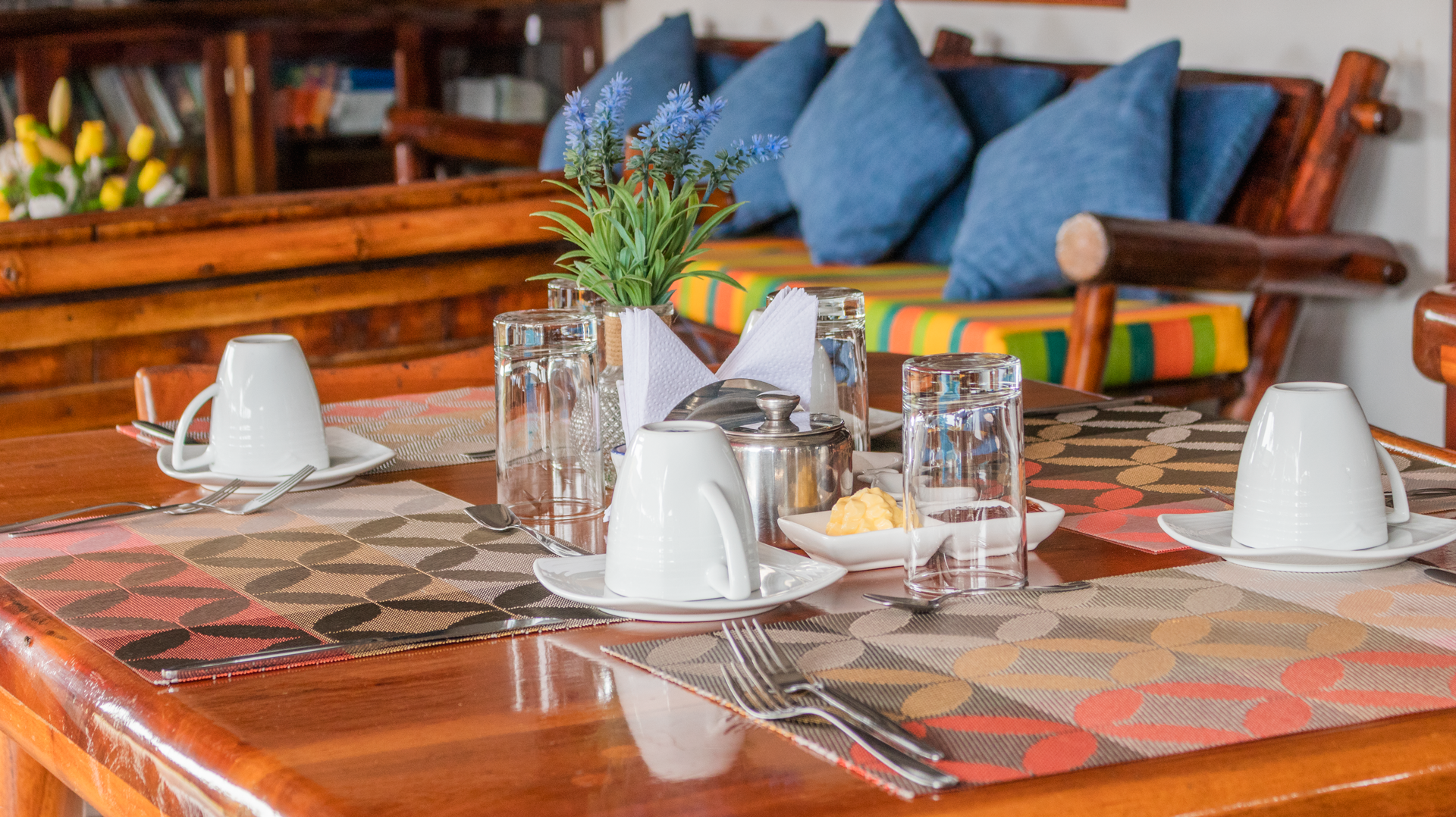 Lunch Time ! meals prepared with love!