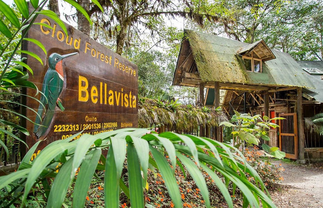 Bellavista Cloud Forest Reserve & Lodge, The Cloud Forest | Timbuktu Travel