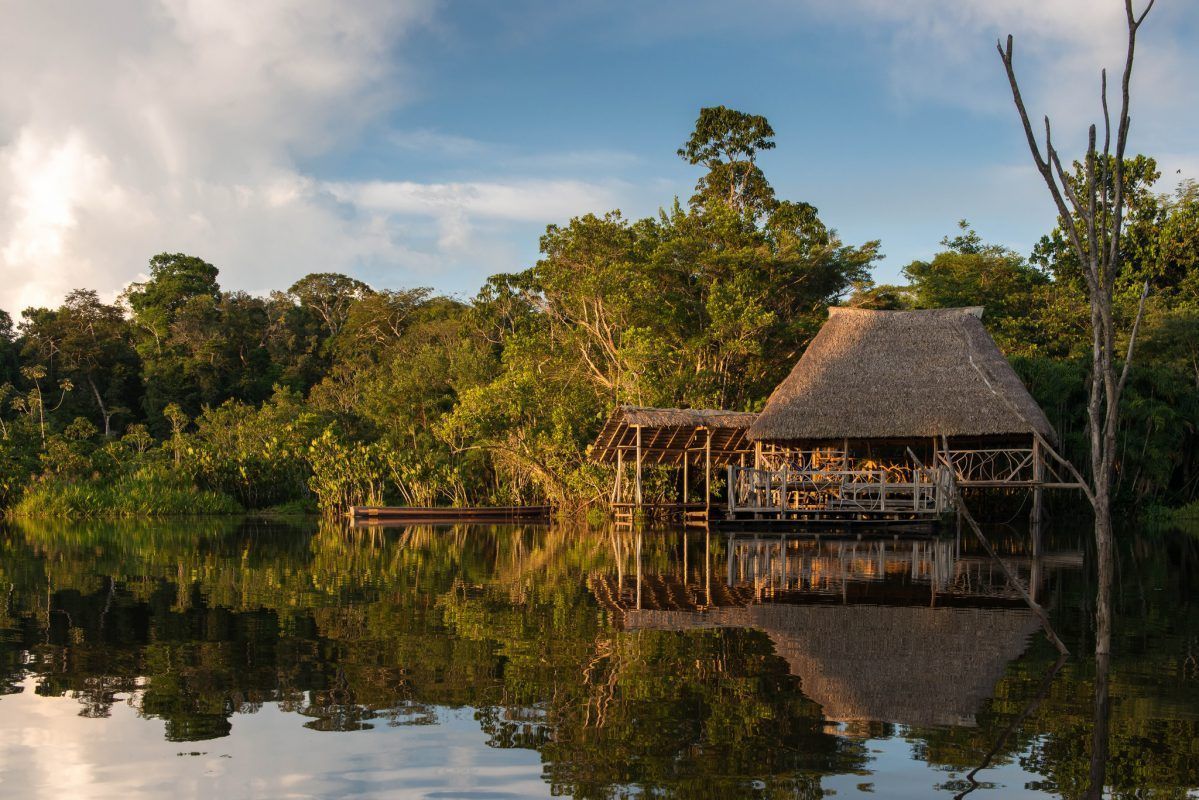 Sani Lodge, The Ecuadorian Amazon | Timbuktu Travel