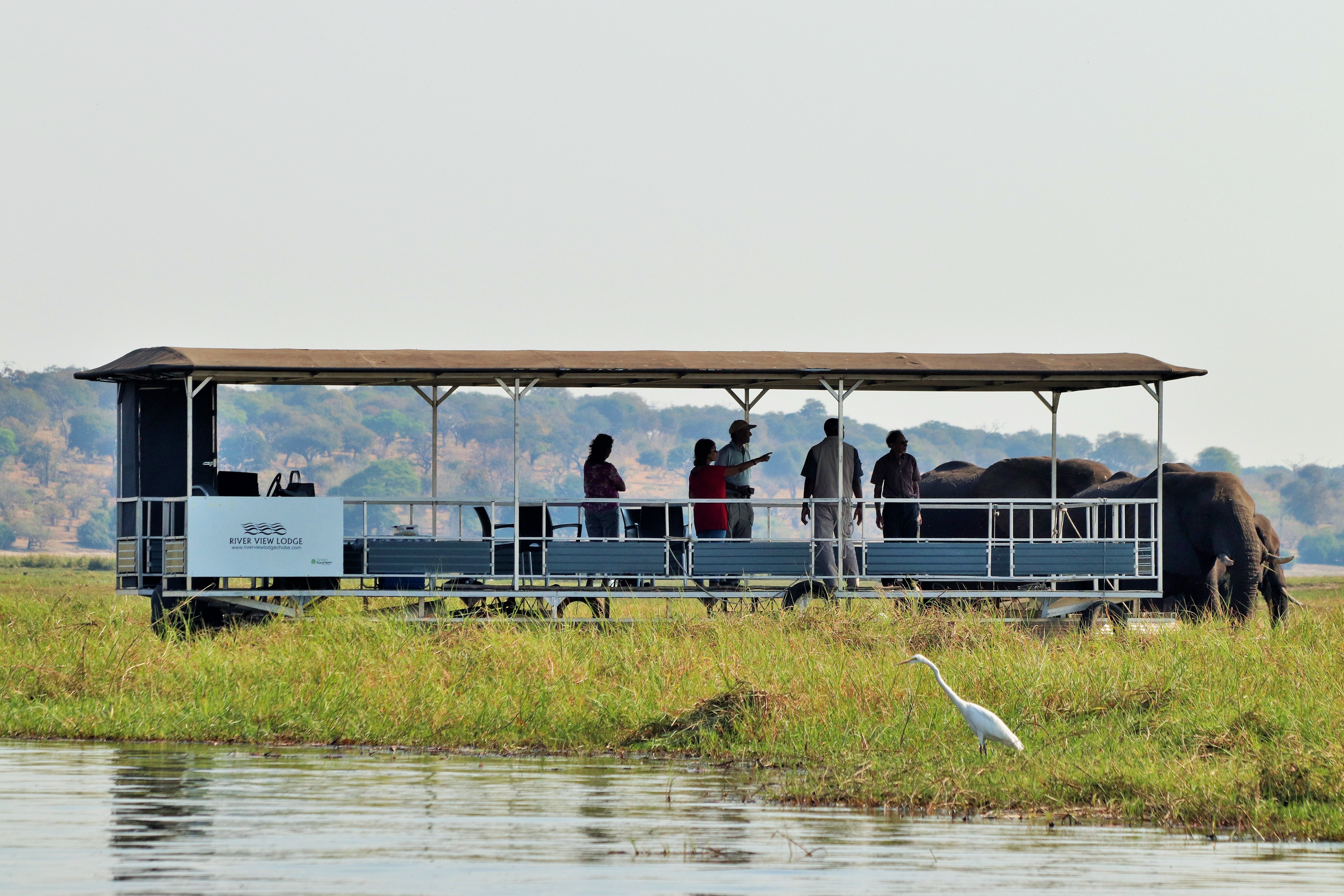 Boat cruise on the Chobe River in Chobe National Park, on River View Lodge's spacious and well-appointed pontoon boat.