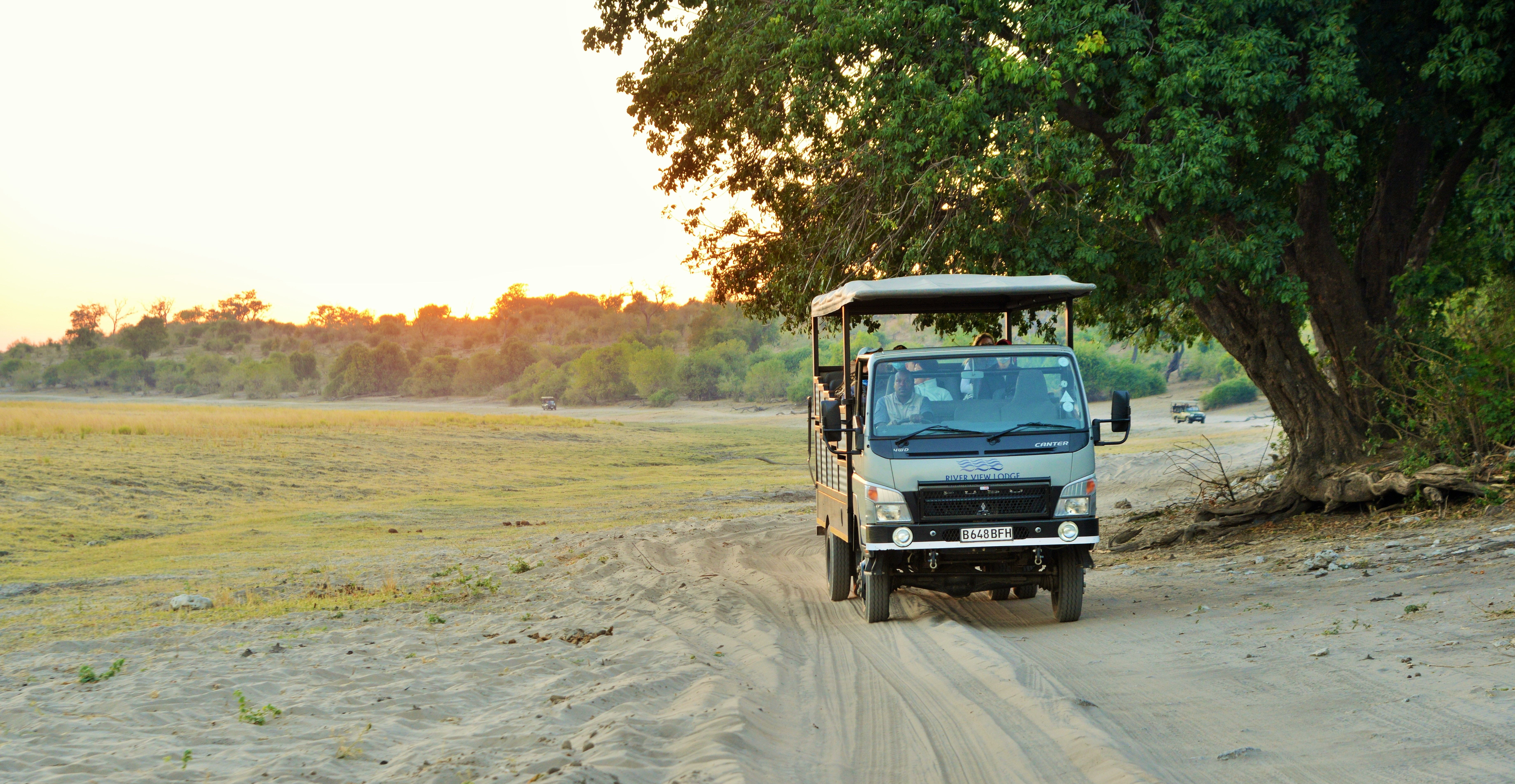Game drive in Chobe National Park in River View Lodge's spacious and well-appointed game viewer.