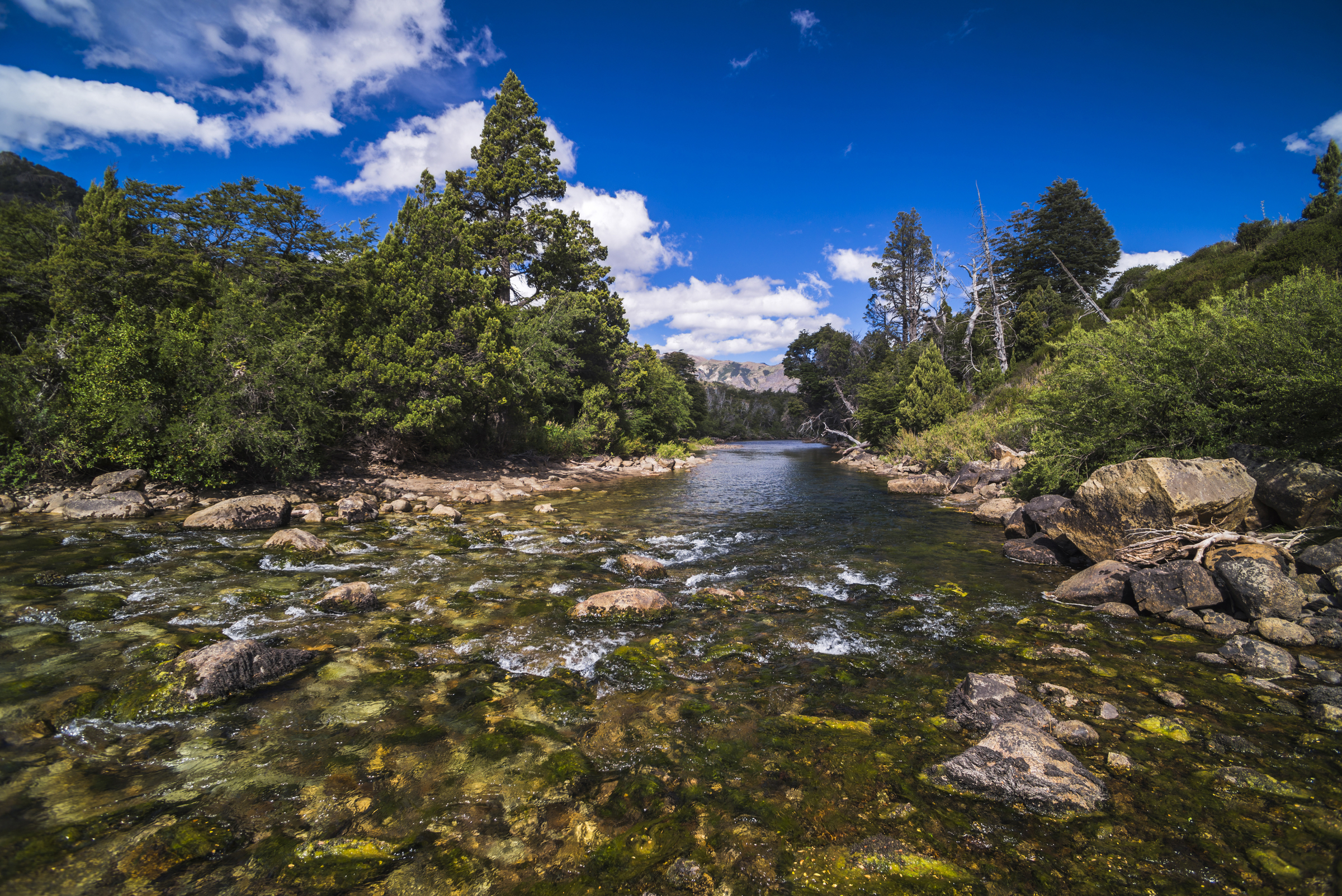 Grounds of Río Hermoso Hotel