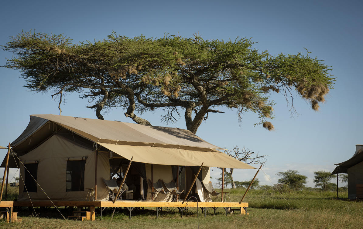 Siringit Serengeti Camp, Serengeti | Timbuktu Travel