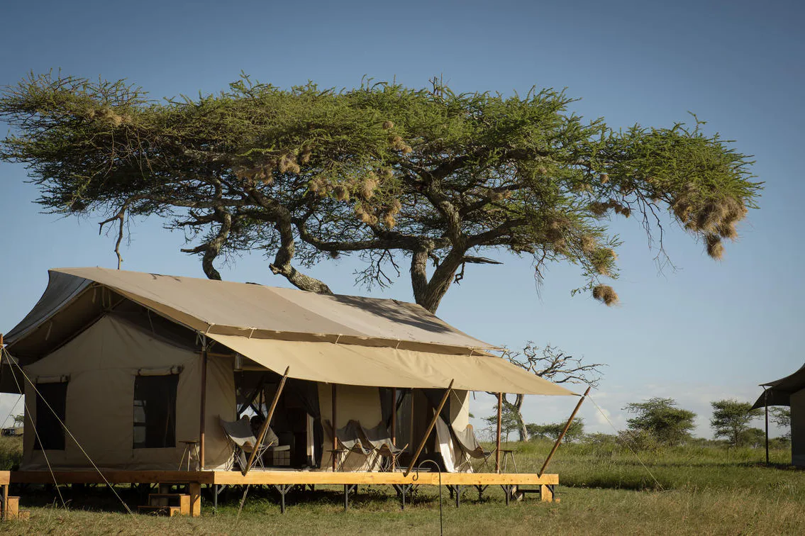 Siringit Serengeti Camp, Tanzania | Timbuktu Travel