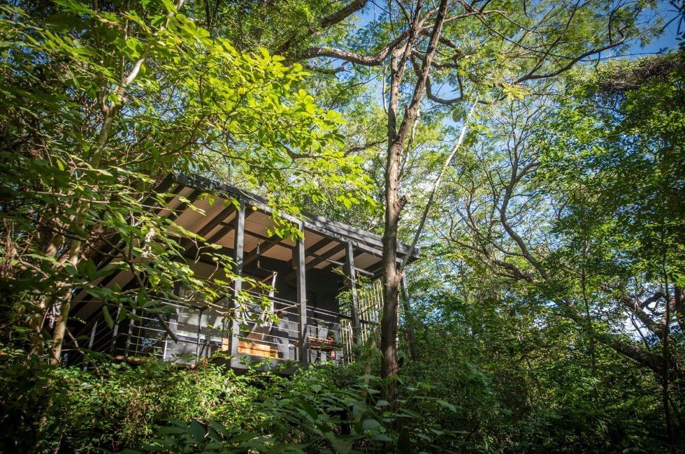 Rio Perdido, Rincón de la Vieja | Timbuktu Travel