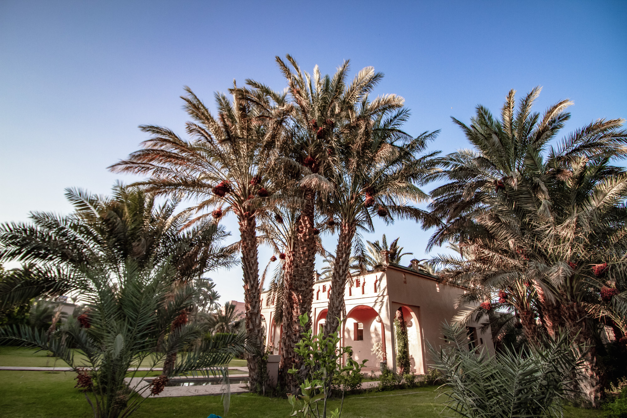 Dar Hnini, Zagora | Timbuktu Travel