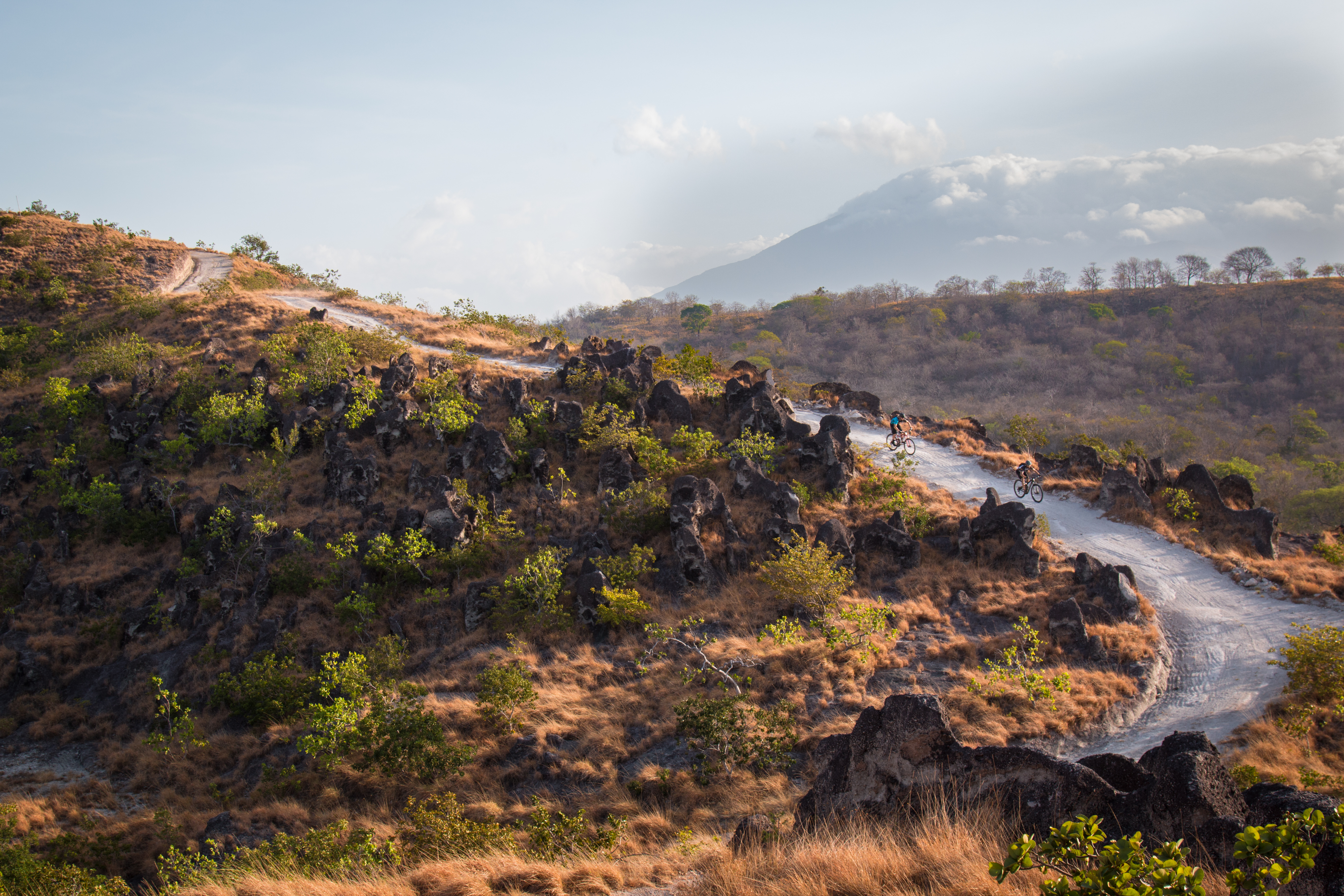 20+ miles of private trails for hiking, running, moutain biking