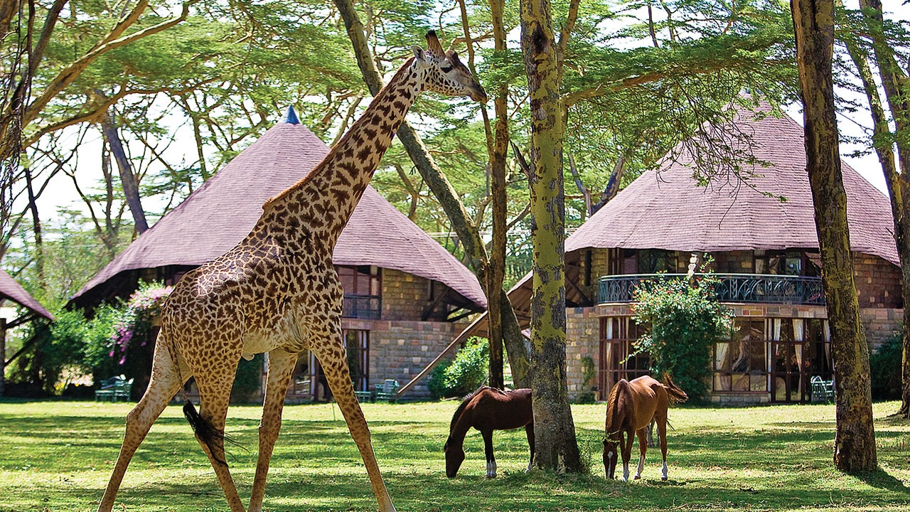 Lake Naivasha Sopa Lodge, Lake Naivasha | Timbuktu Travel