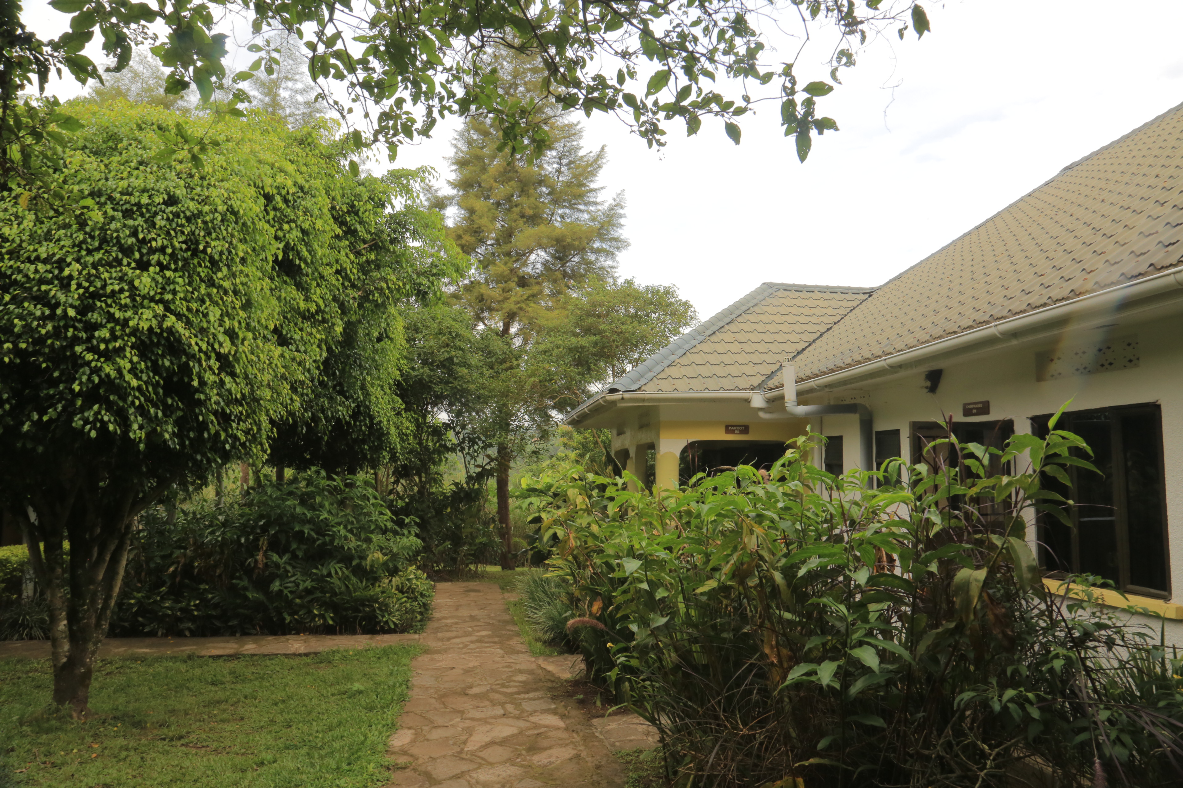 Kibale Forest Lodge, Kibale | Timbuktu Travel