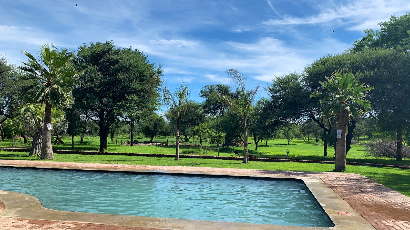 Otjibamba Lodge, Otjiwarongo | Timbuktu Travel