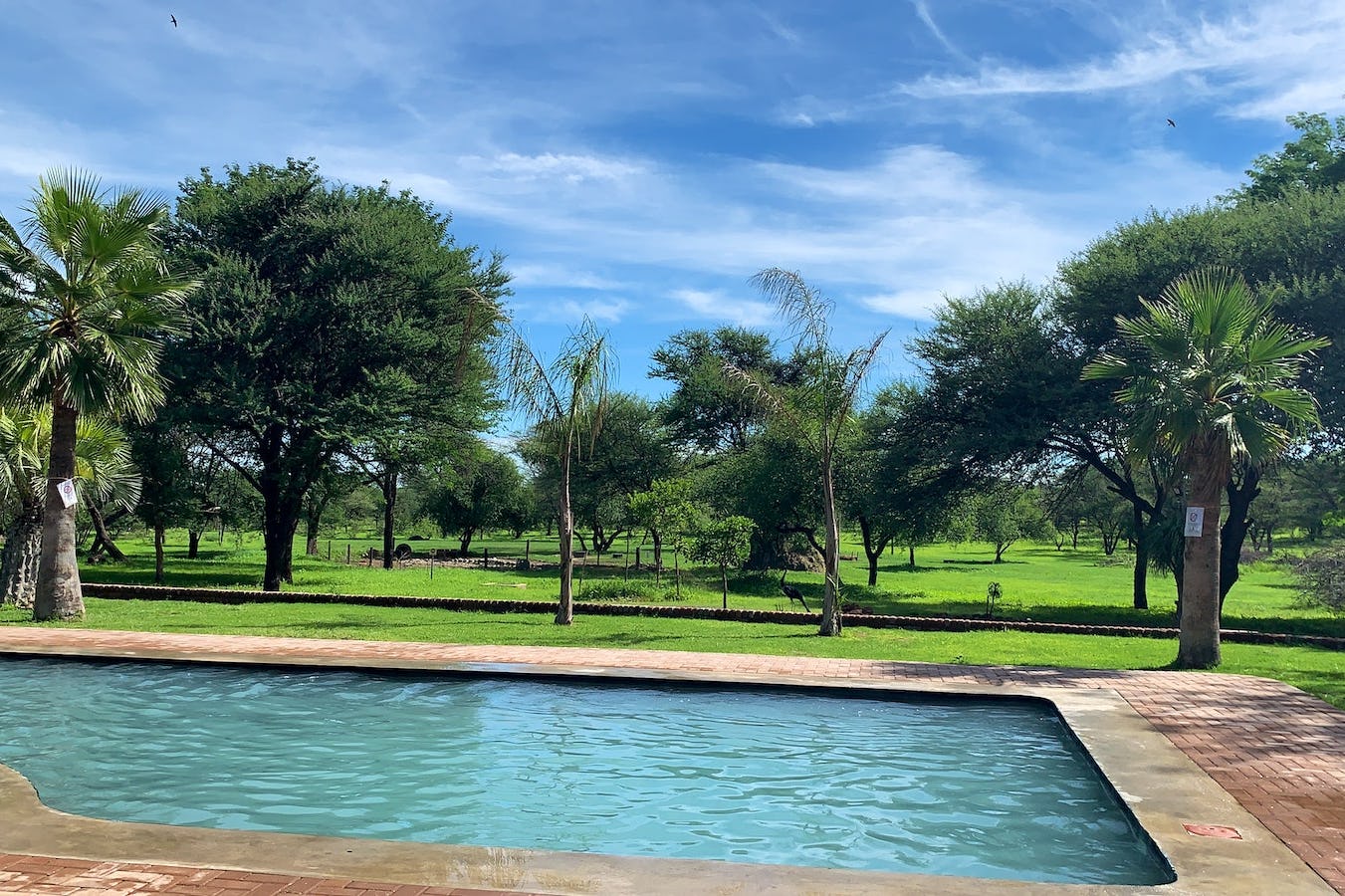 Otjibamba Lodge is a well-known and –loved stop over en route to Etosha National Park, a mere 180km away. Although the property is situated only 4km outside of Otjiwarongo, it is tucked away in the bush and completely isolated and quiet as if you...
