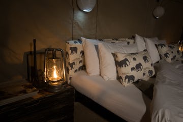 Golden Africa Luxury Roving Safari Camp, Botswana