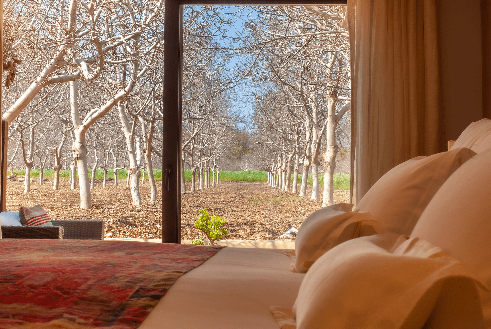 Casa Molle, The Elqui Valley | Timbuktu Travel