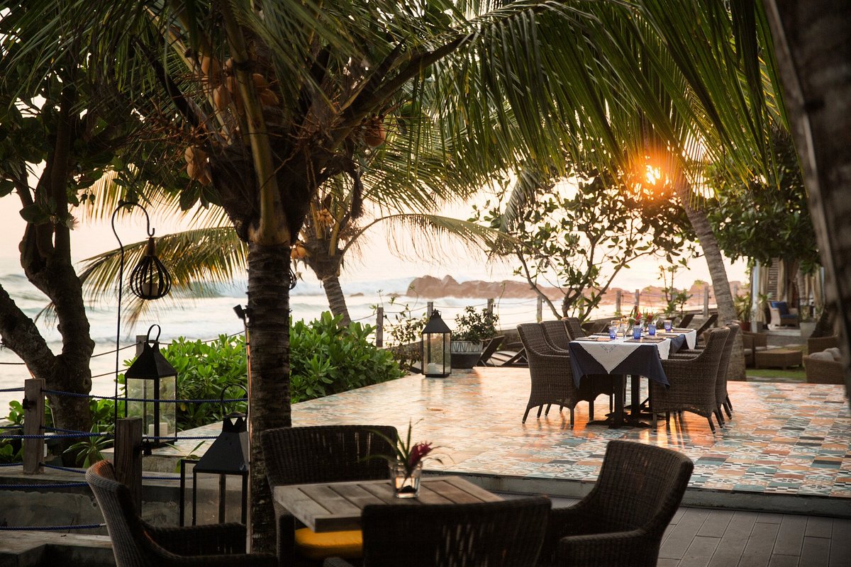 Owl and The Pussycat, Galle | Timbuktu Travel