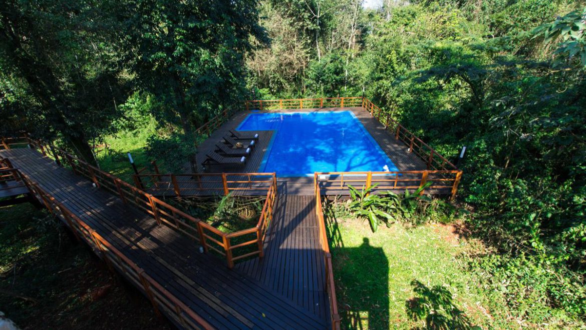 Selva de Laurel, Iguazu Falls | Timbuktu Travel