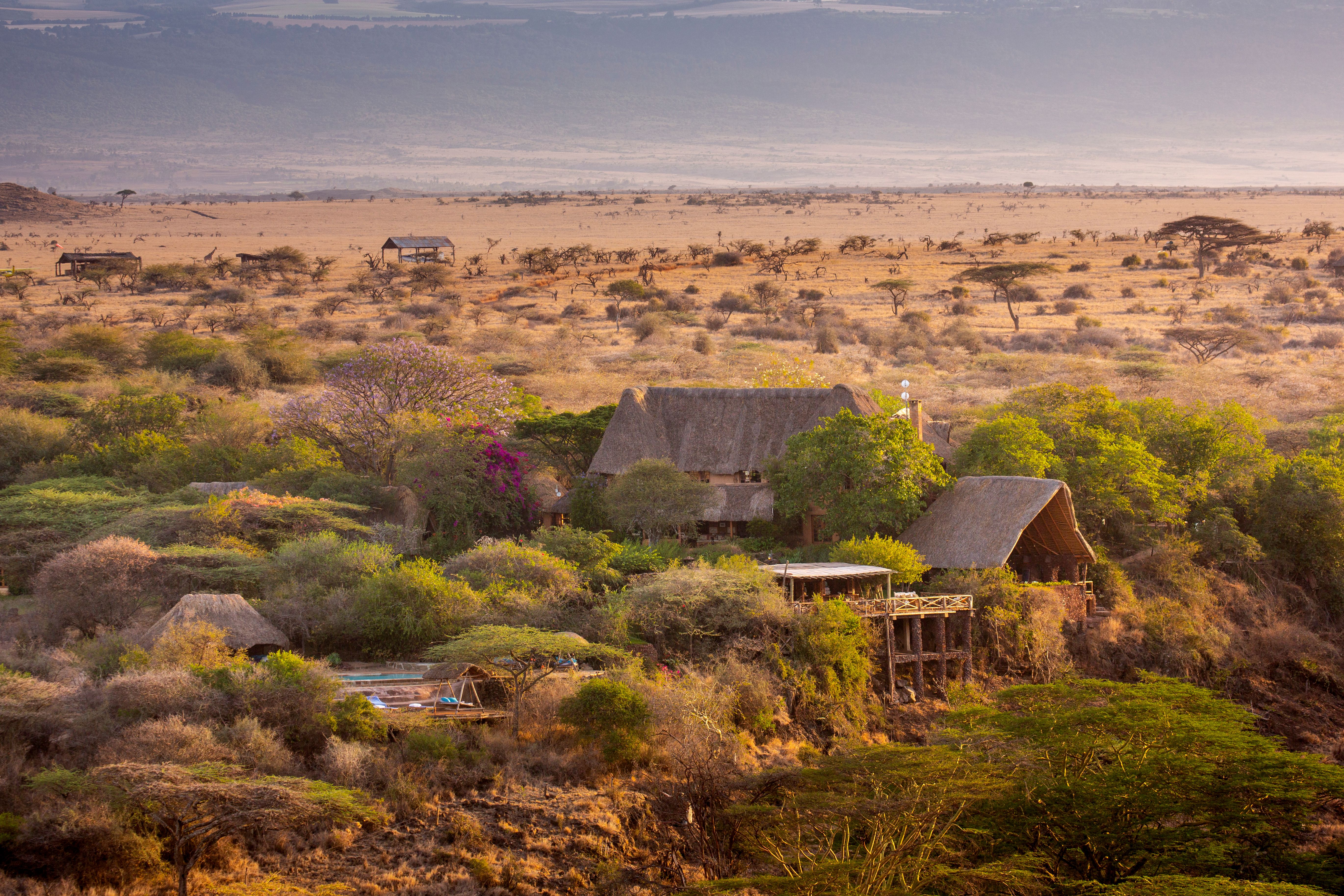 Lewa Wilderness Lodge, Lewa Downs | Timbuktu Travel