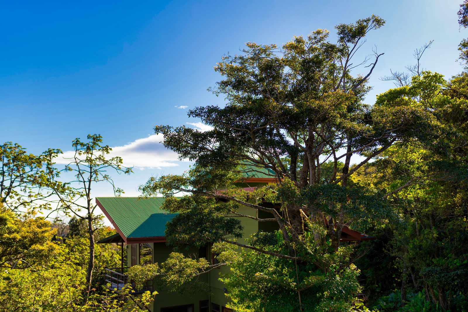Cala Lodge, Monteverde Cloud Forest | Timbuktu Travel