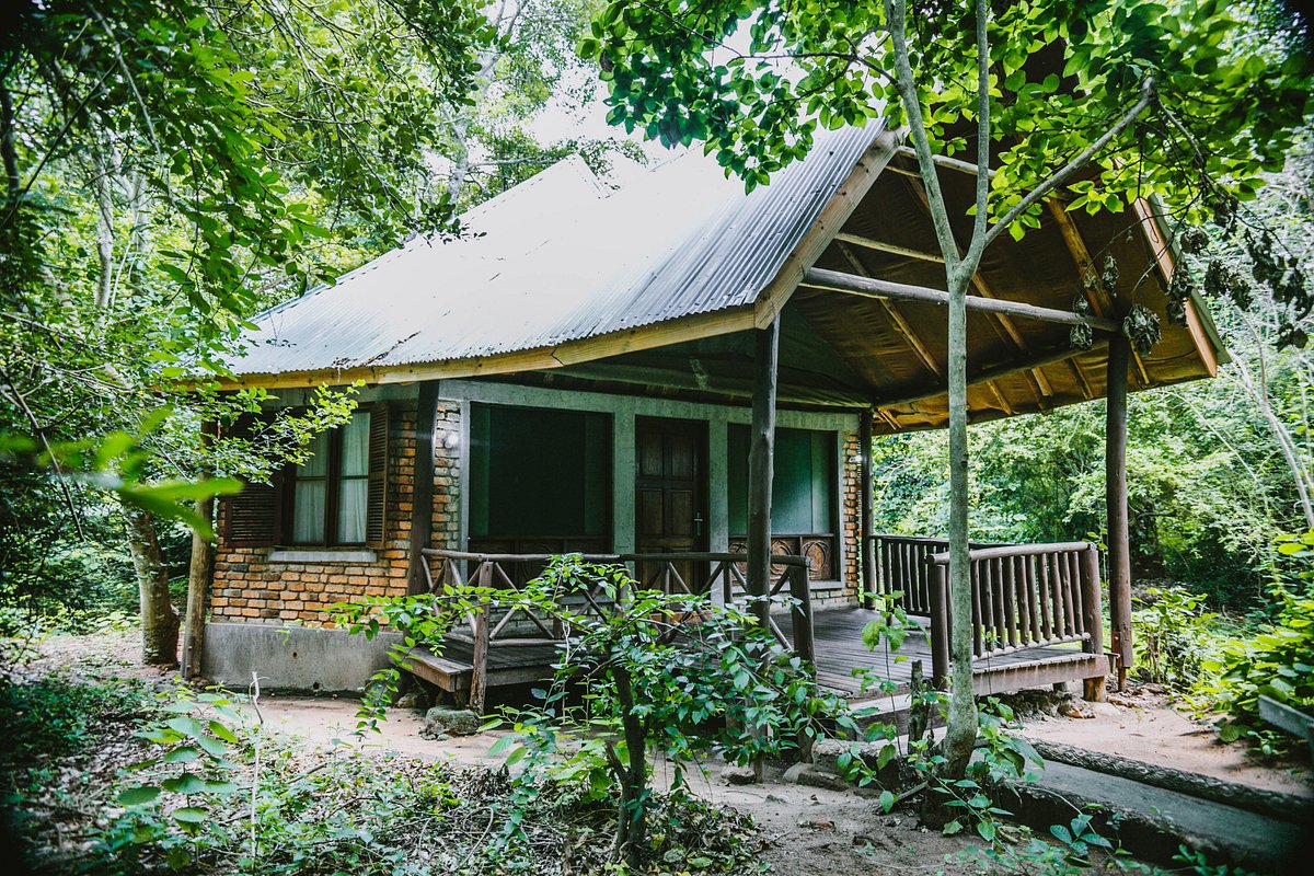 Selous Kinga Lodge , Nyerere National Park | Timbuktu Travel