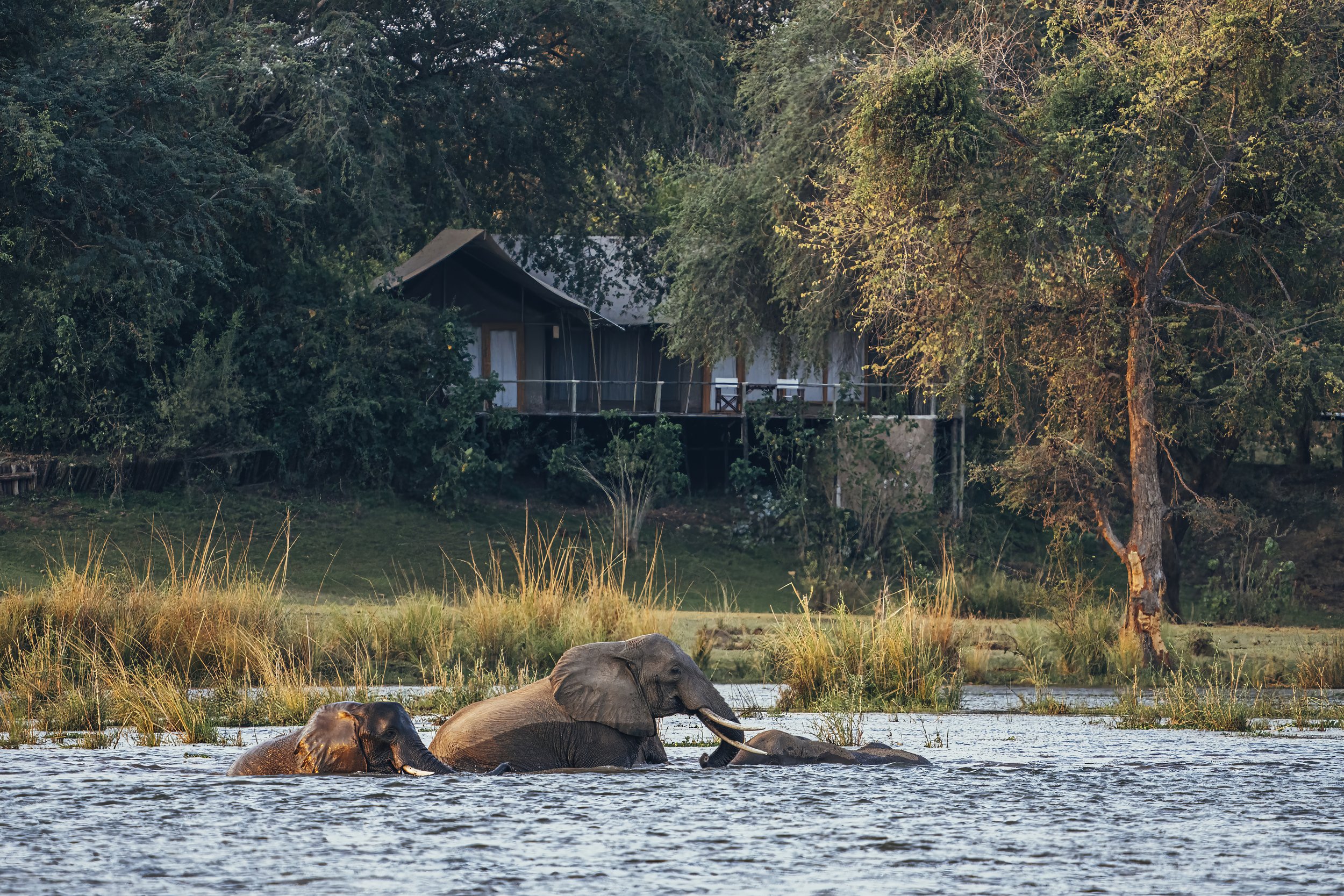 Anabezi Luxury Camp, Lower Zambezi | Timbuktu Travel