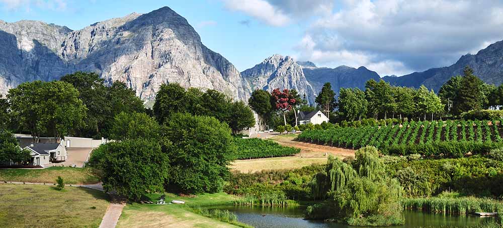 Alluvia Boutique Winery, Stellenbosch | Timbuktu Travel