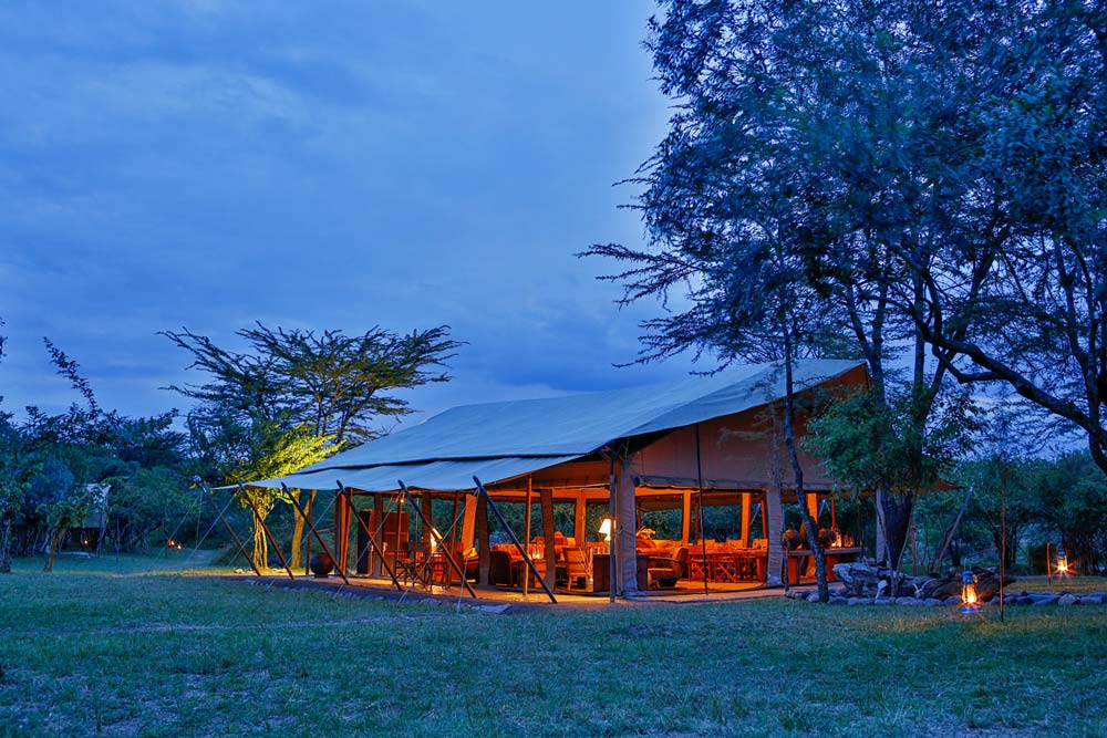 Olengoti Eco Safari Camp, Masai Mara | Timbuktu Travel