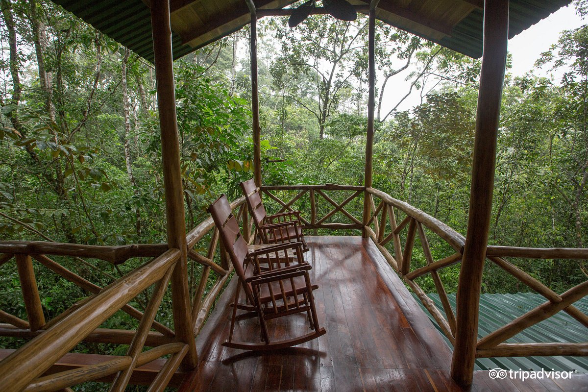 Tree Houses Hotel Costa Rica, San José & Central Valley | Timbuktu Travel