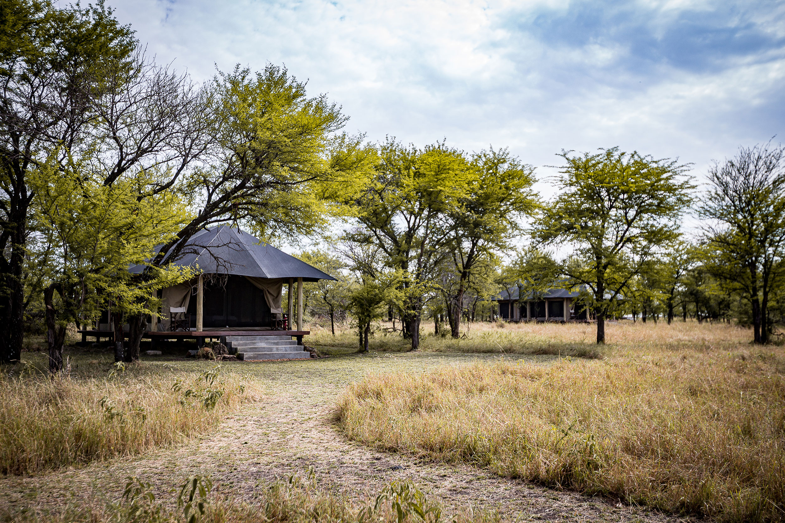 Serian's Serengeti Lamai, Serengeti | Timbuktu Travel