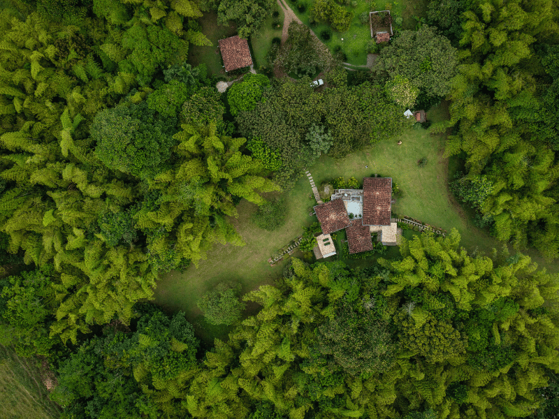 Caña Brava, Colombian Coffee Region | Timbuktu Travel