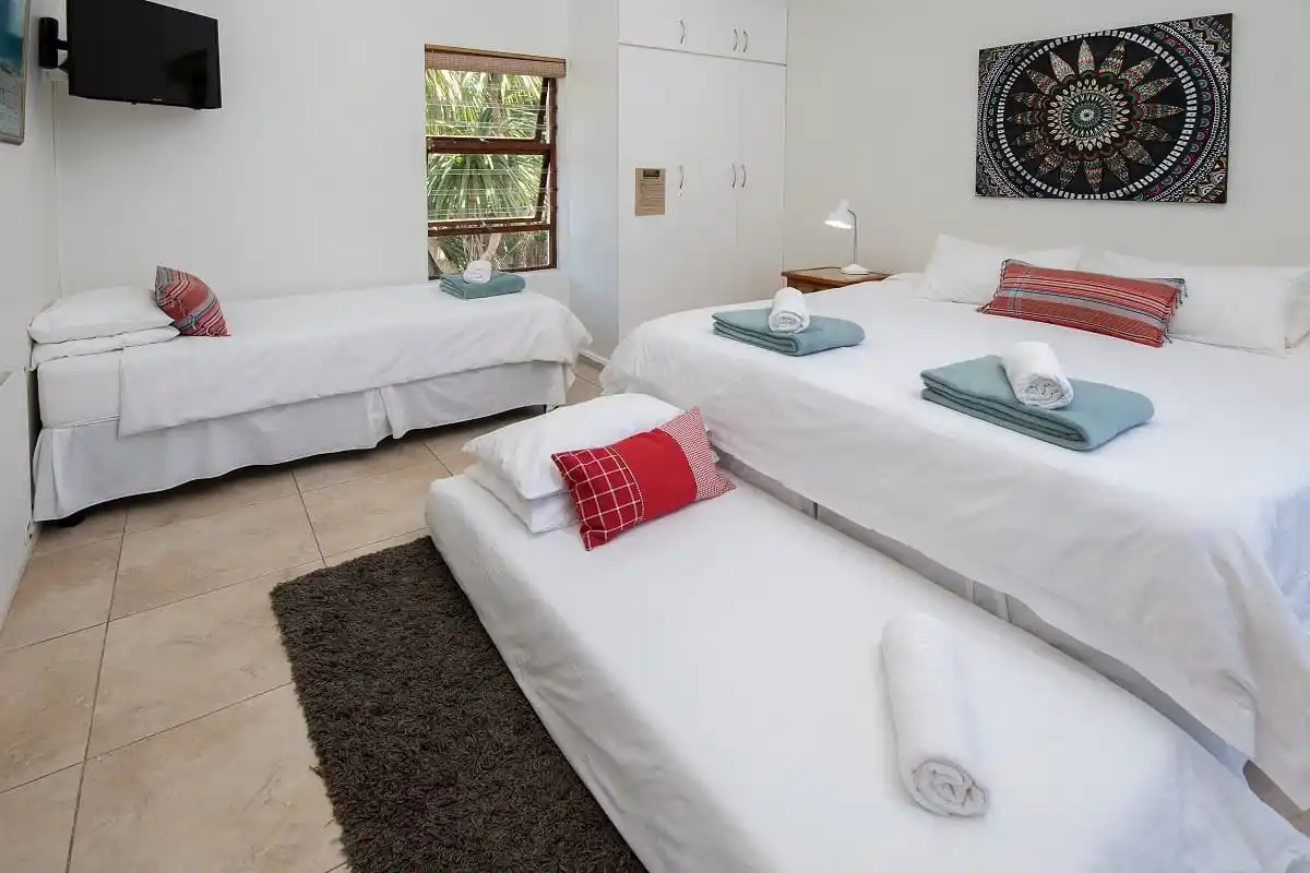 African Perfection - Aloe Again, Eastern Cape | Timbuktu Travel