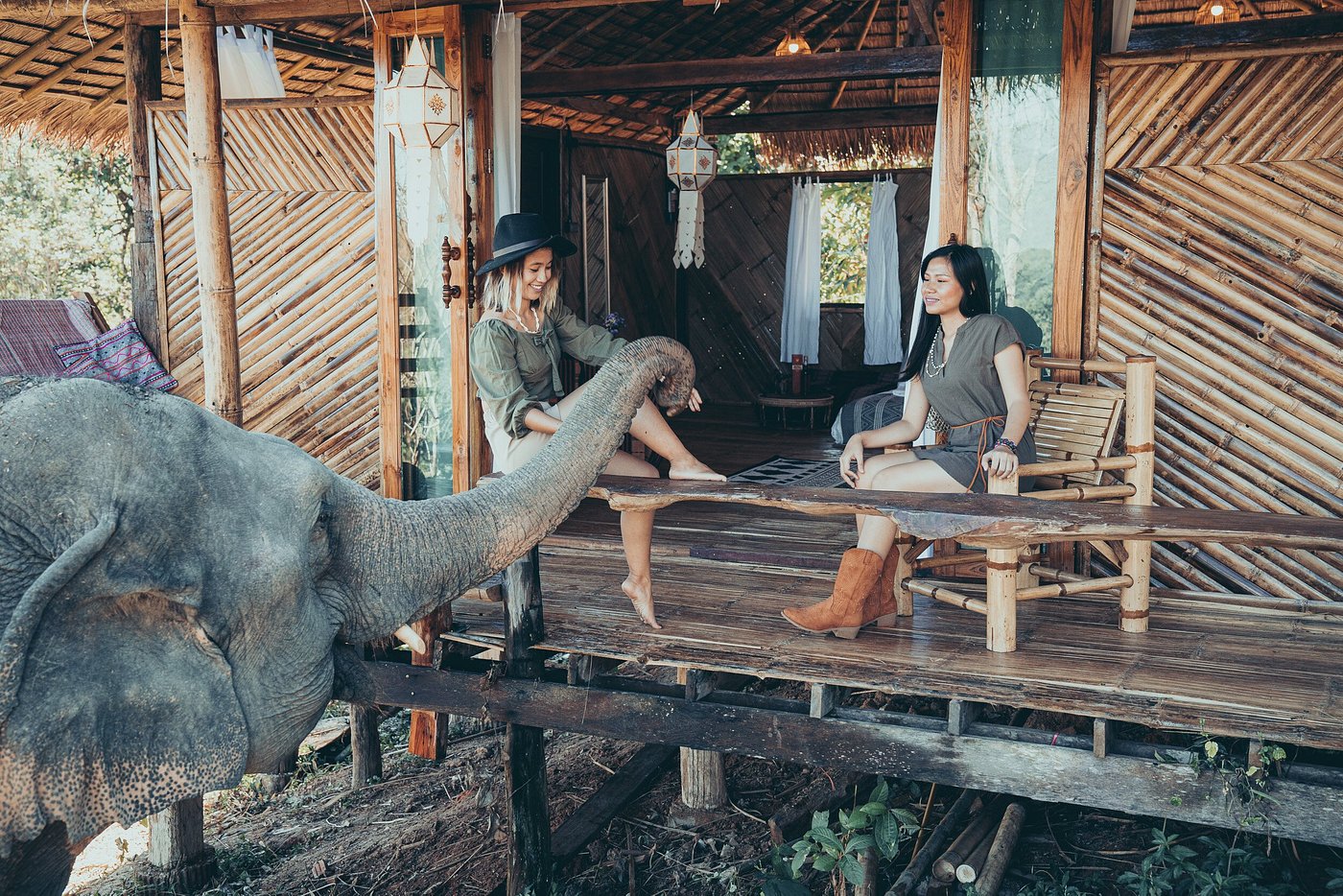 Chai Lai Orchid , Chiang Mai | Timbuktu Travel