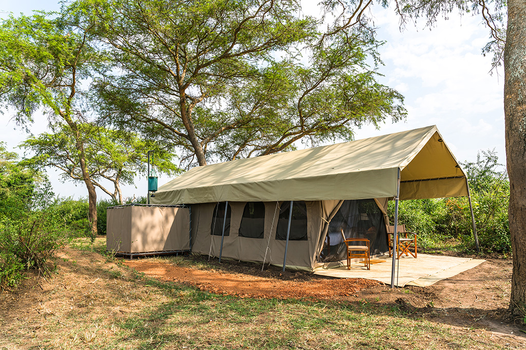 Honey Bear Bush Camp, Queen Elizabeth | Timbuktu Travel