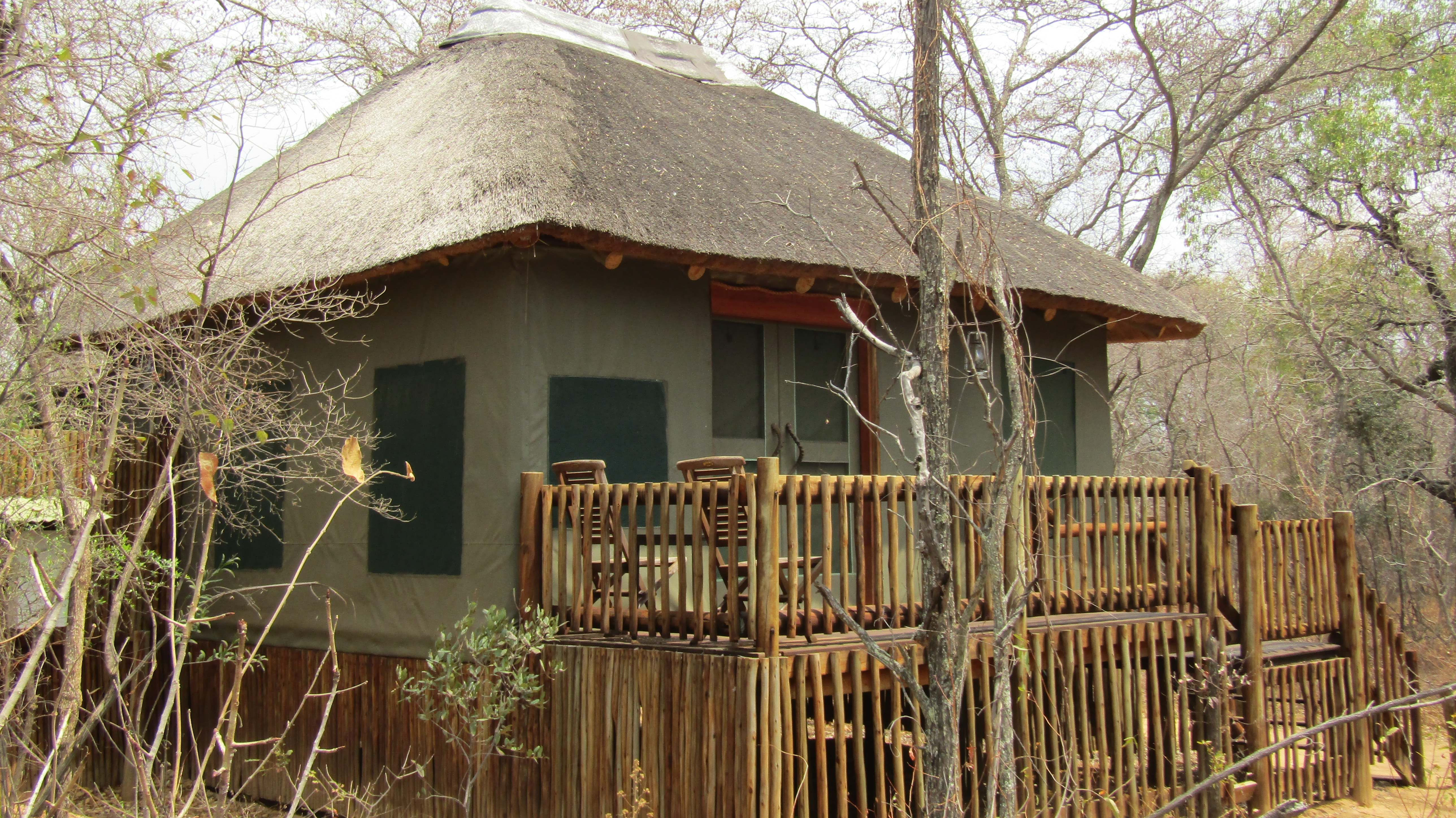 Honeyguide Ranger Camp, Waterberg | Timbuktu Travel
