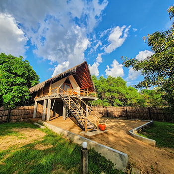 Thamaravila Wilpattu - Luxury Tented Safari Chalets, Wilpattu National Park | Timbuktu Travel