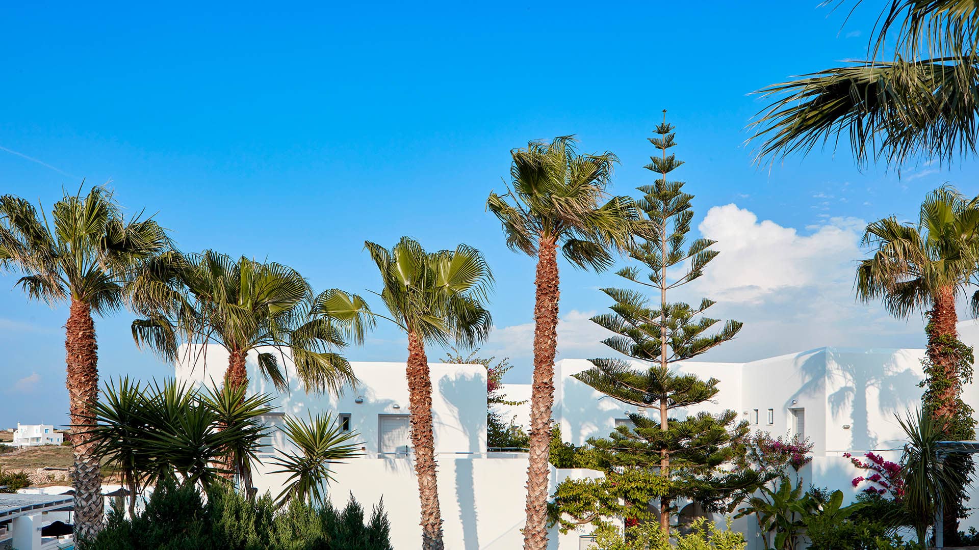 Mr & Mrs White New Style Hotel, Paros | Timbuktu Travel