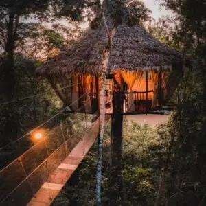 Treehouse Lodge, Pacaya Samiria | Timbuktu Travel