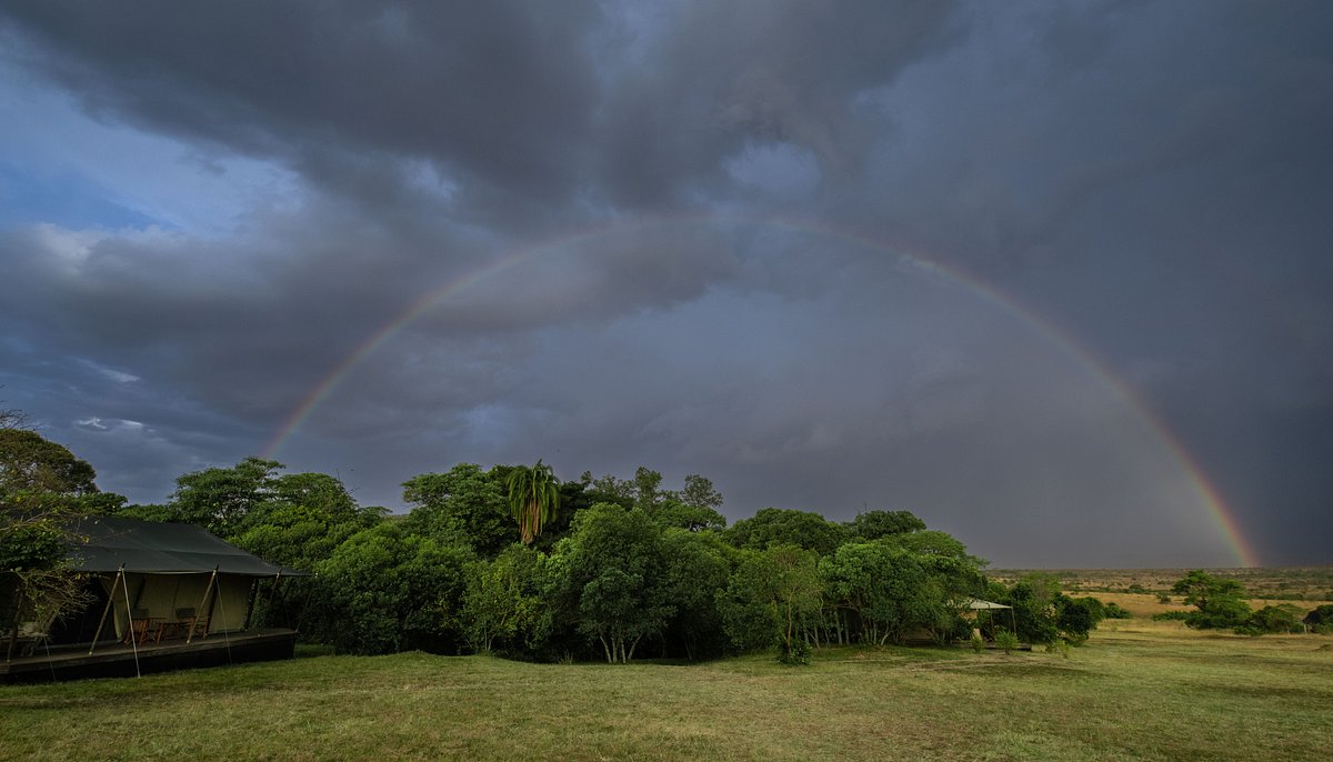 Enkewa Camp, Masai Mara, Masai Mara | Timbuktu Travel