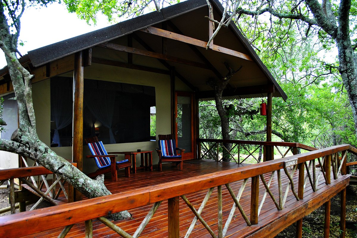Lion Tree Top Lodge, Hoedspruit & Surrounds | Timbuktu Travel