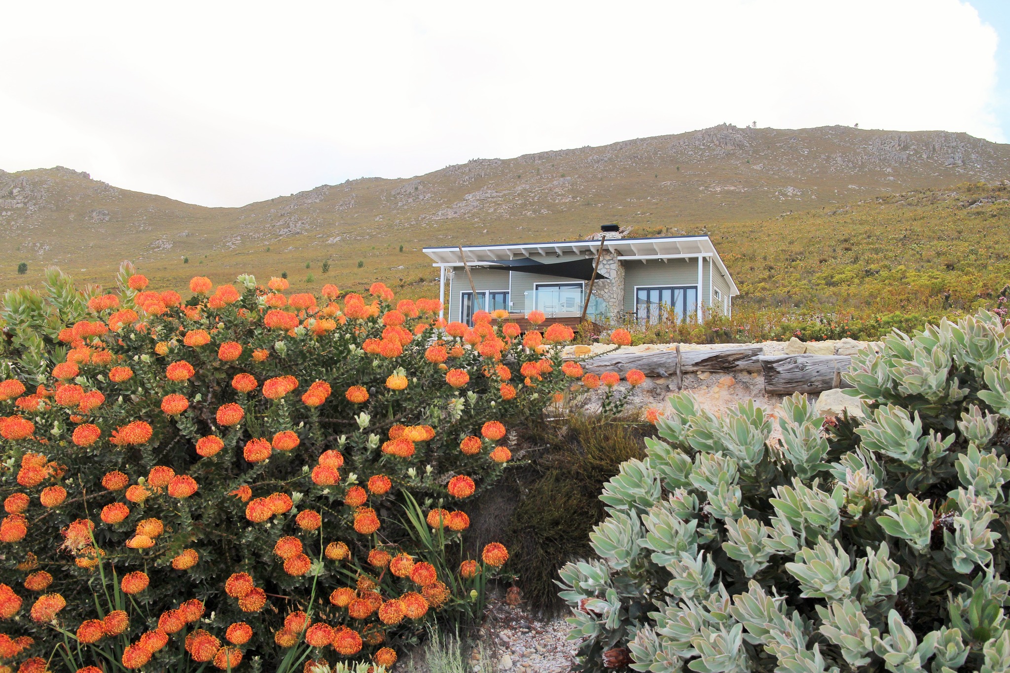 The Barber’s Trail Lodge, Hermanus | Timbuktu Travel