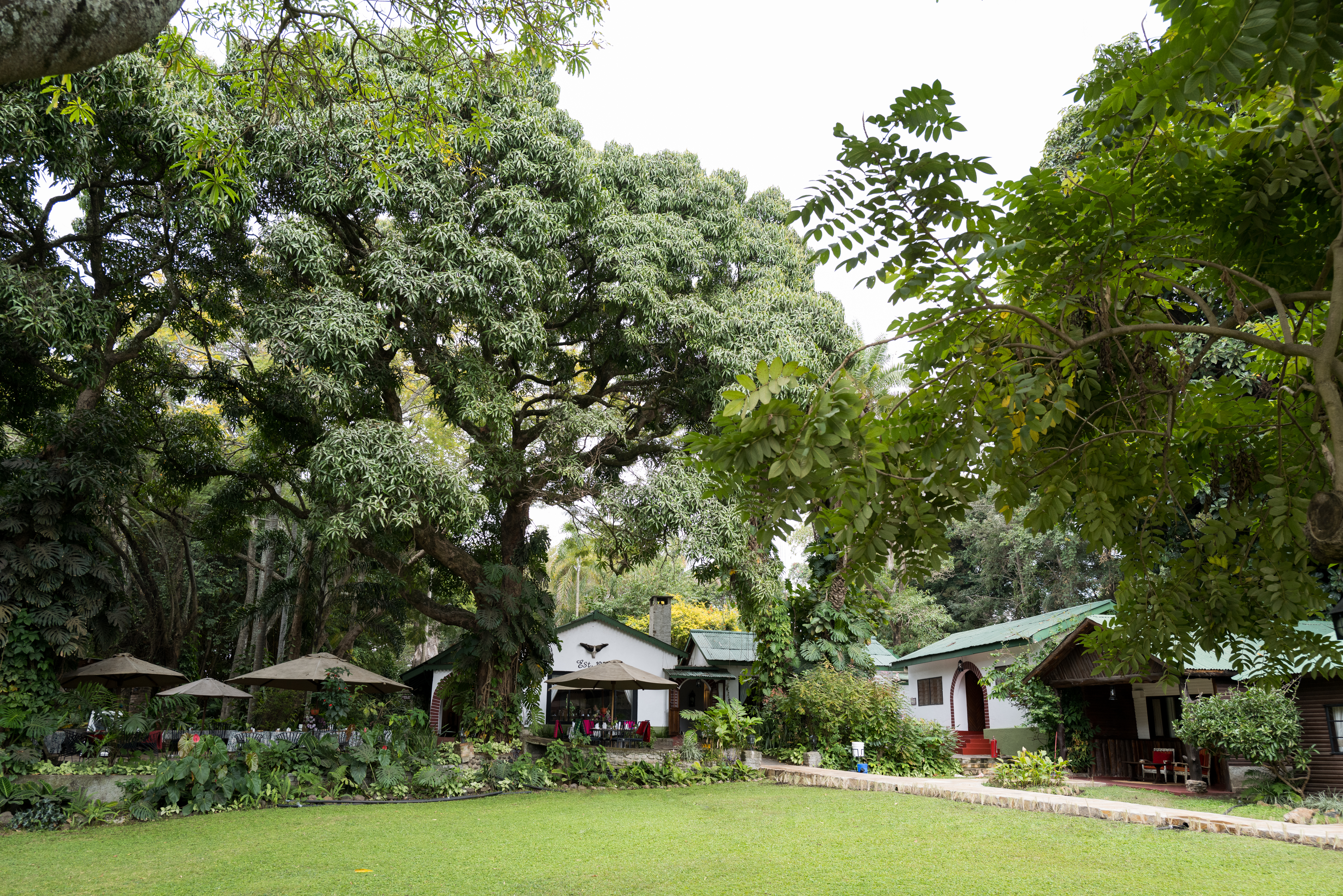 Mount Meru Game Lodge, Arusha | Timbuktu Travel