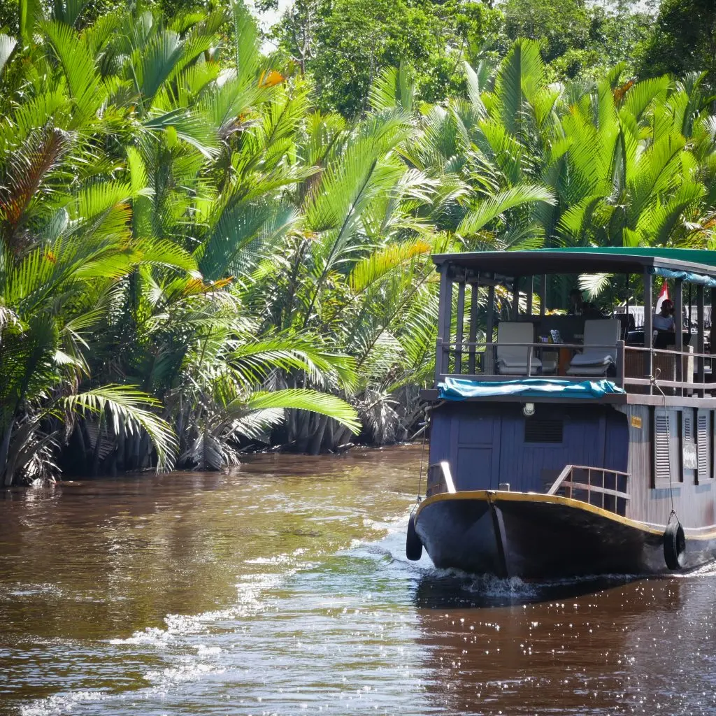 Sekonyer , Tanjung Puting National Park | Timbuktu Travel