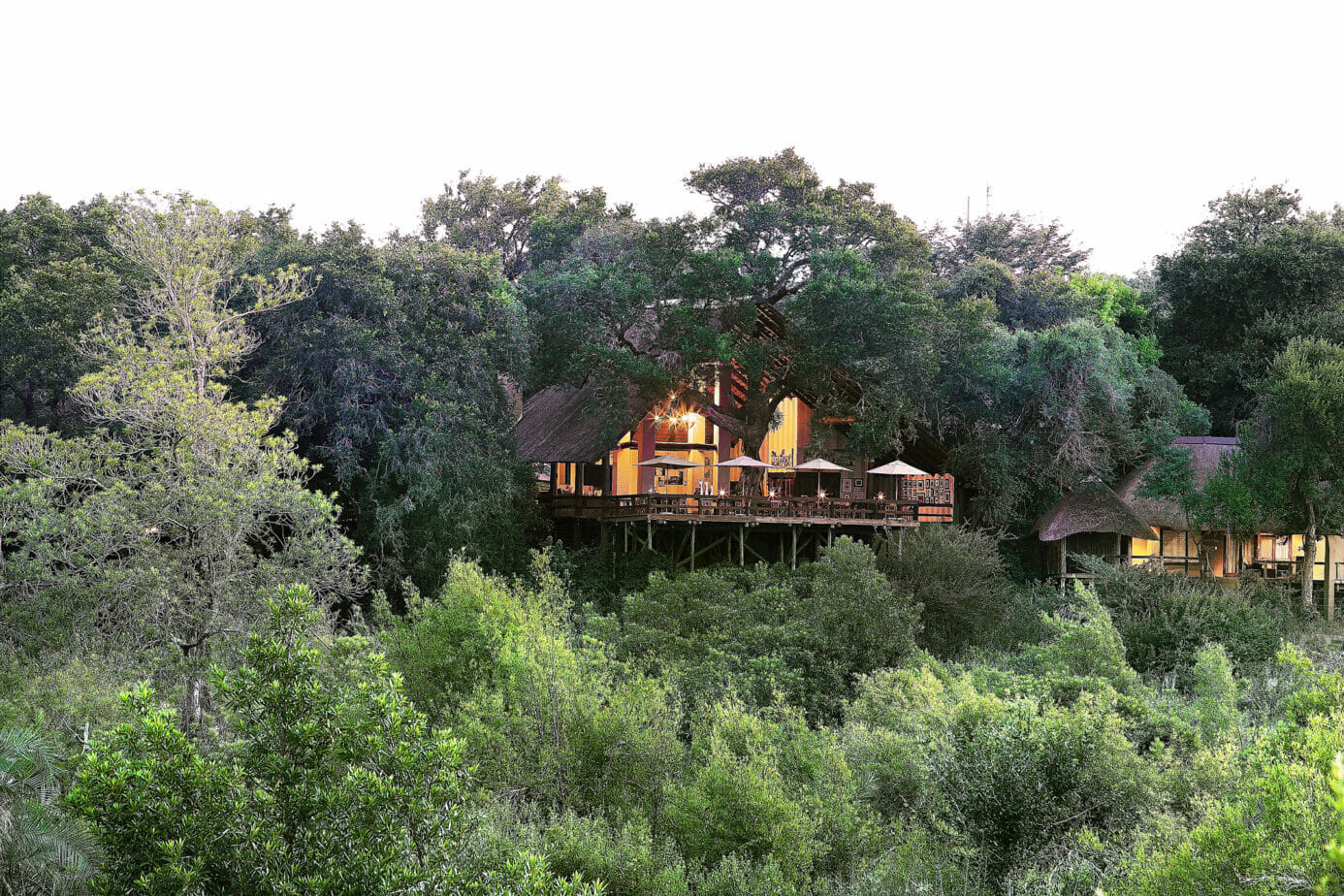 Londolozi Varty Camp, South & West Sabi Sands | Timbuktu Travel