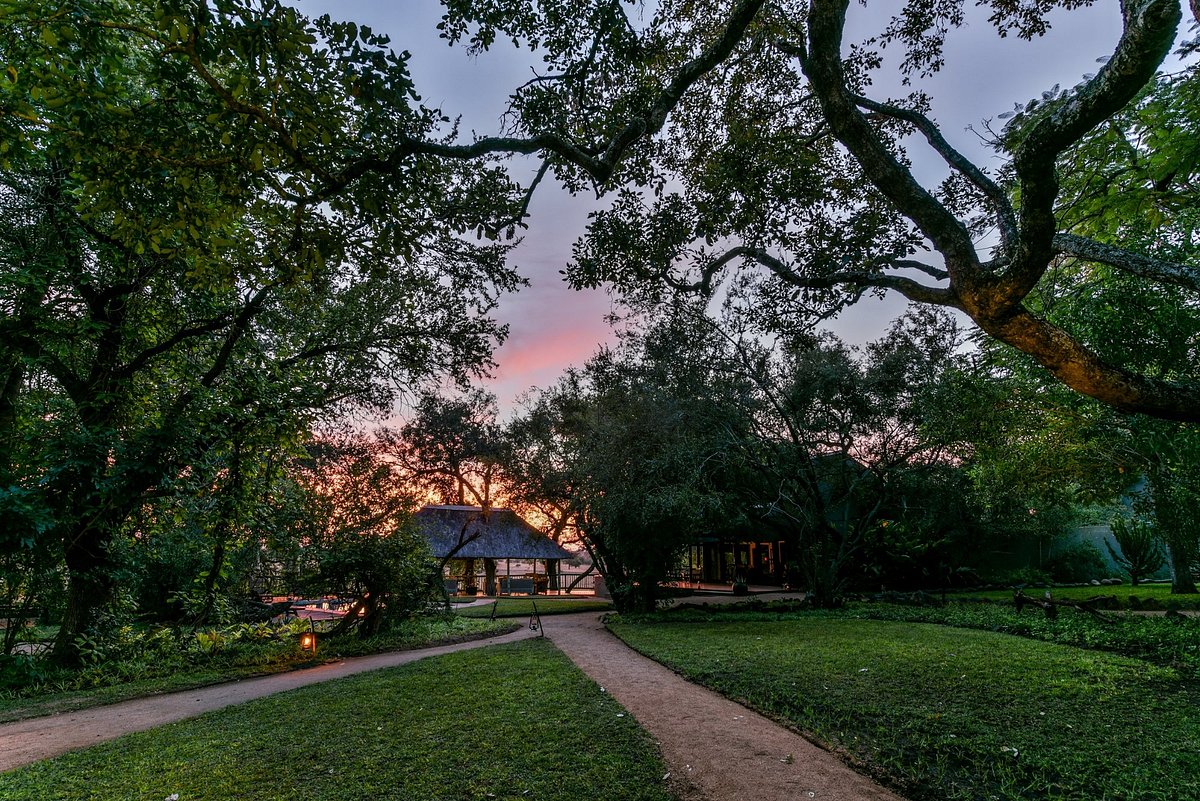 Sabi Sabi Selati Camp, South & West Sabi Sands | Timbuktu Travel