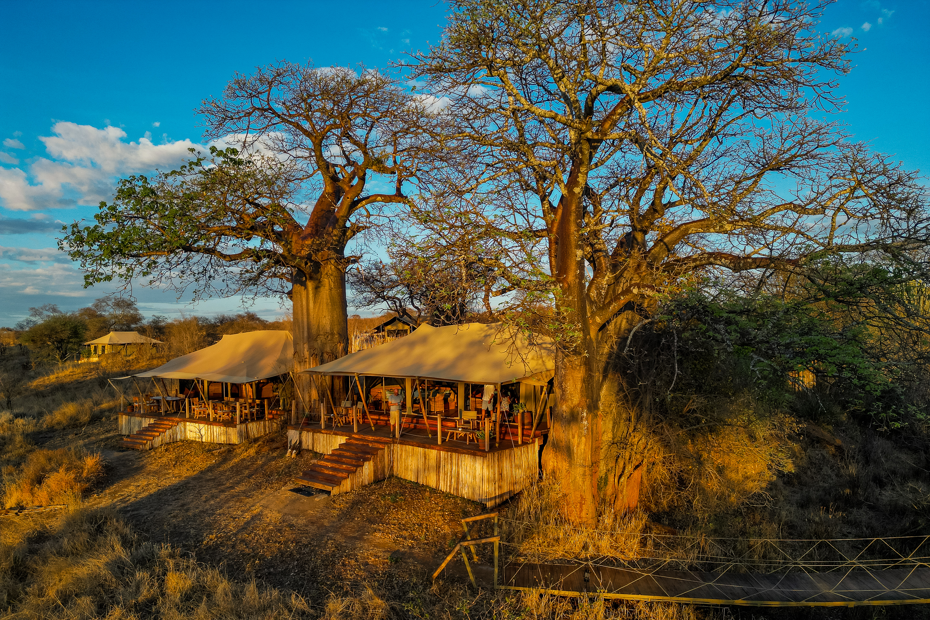 Olkeri Camp, Tarangire | Timbuktu Travel