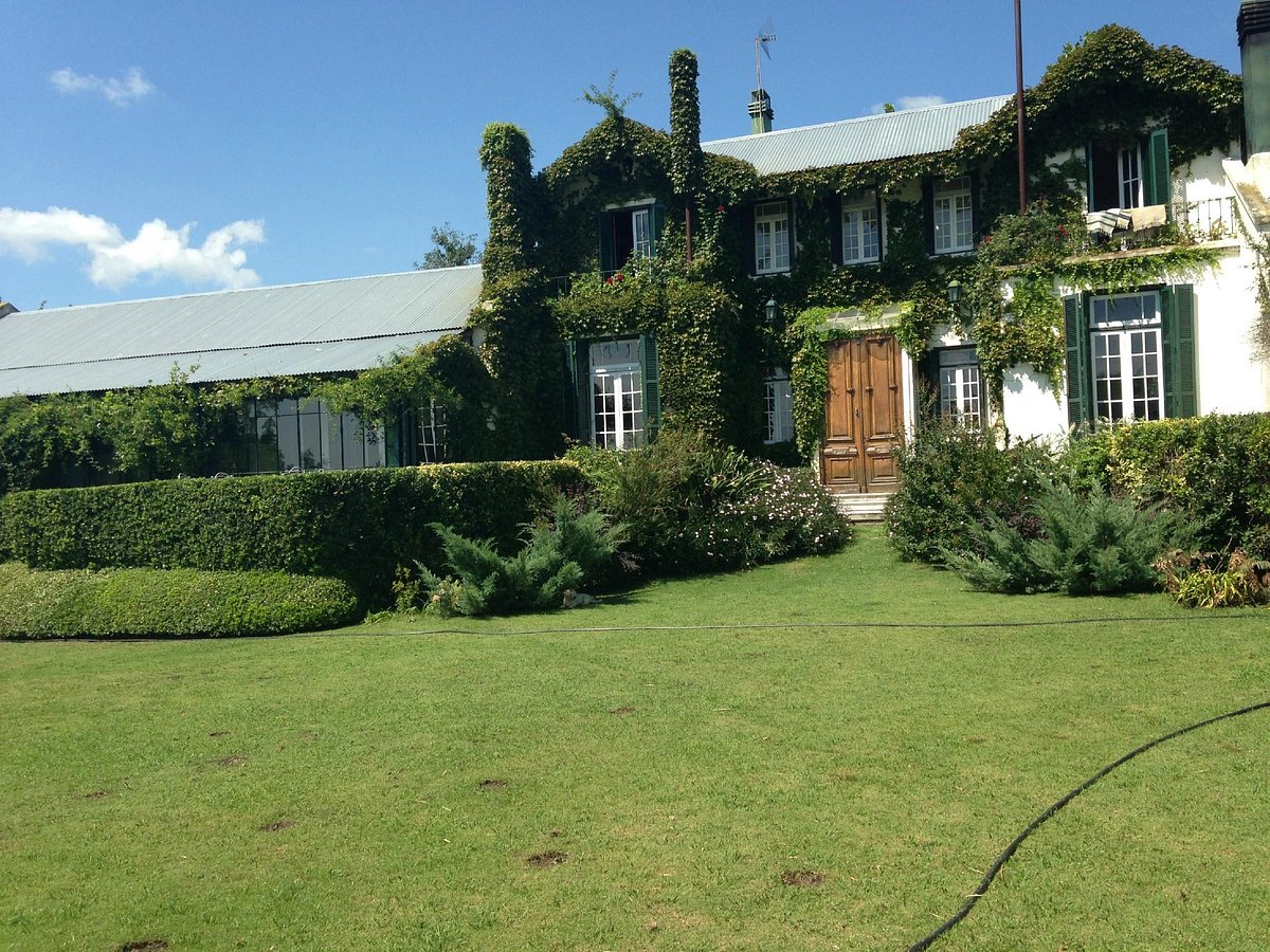 La Casa De Los Limoneros, Colonia  | Timbuktu Travel
