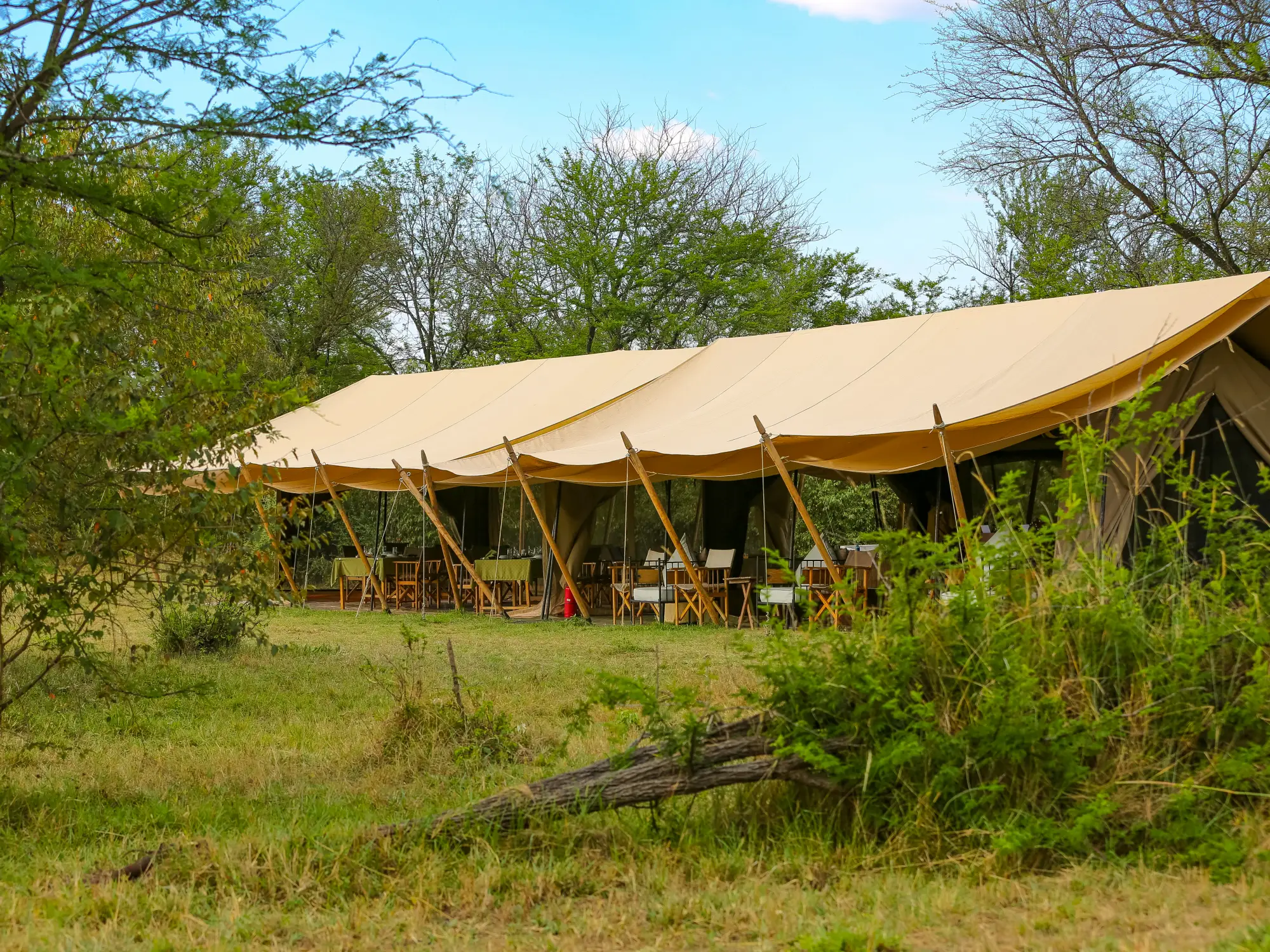 Intimate Camp Zebra, Serengeti | Timbuktu Travel