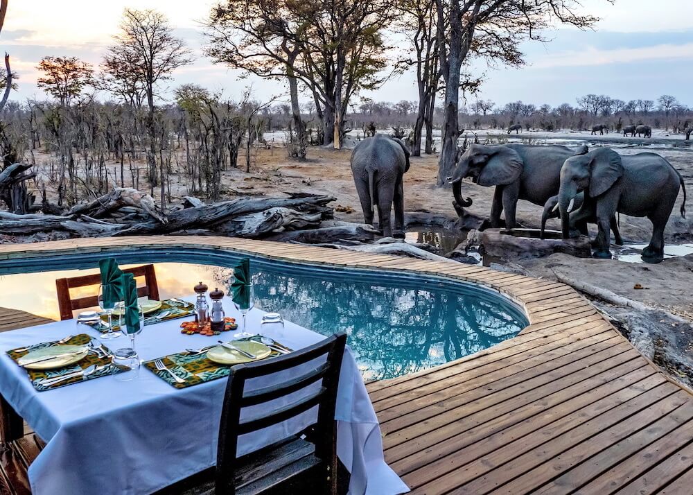 Elephant Pan, Khwai | Timbuktu Travel